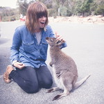 Vendor contact image for Katie McAuley