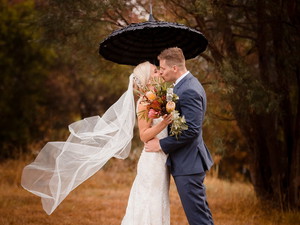 Preview of Amber Williams Photography Photographer
