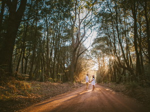 Preview of Magnus Agren Photography Photographer