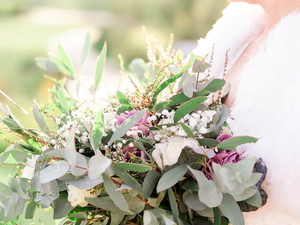 Preview of Zinette Hopper Photography Photographer