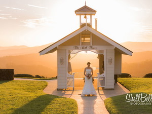Preview of Shellbells Photography Photographer