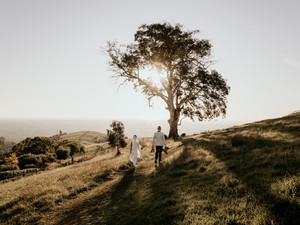 Preview of Tess Newton Photography Photographer