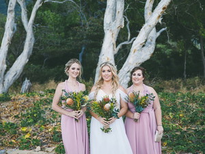Preview of Monica Kristin Photographer Photographer