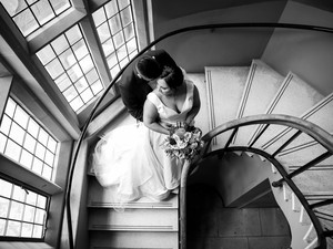 Preview of Alpha Imagery Photographer